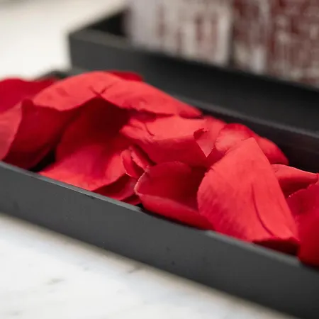 Timeroma Guest house